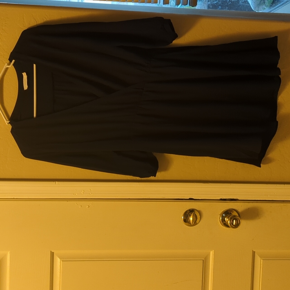 Long sleeve sheer dress
